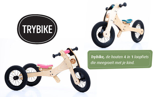 blik geboren Disco Trybike Wood - Co&Co B.V.